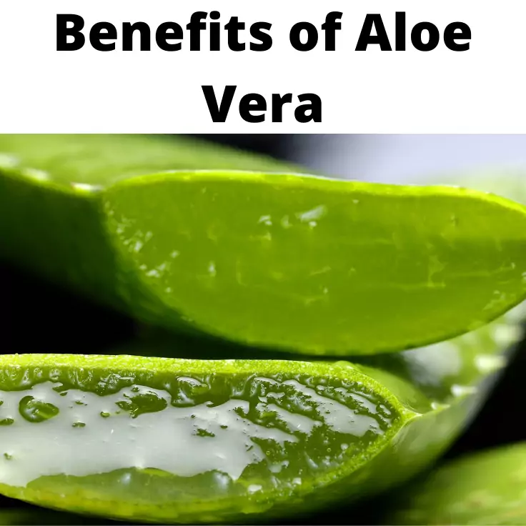 Benefits of aloe vera